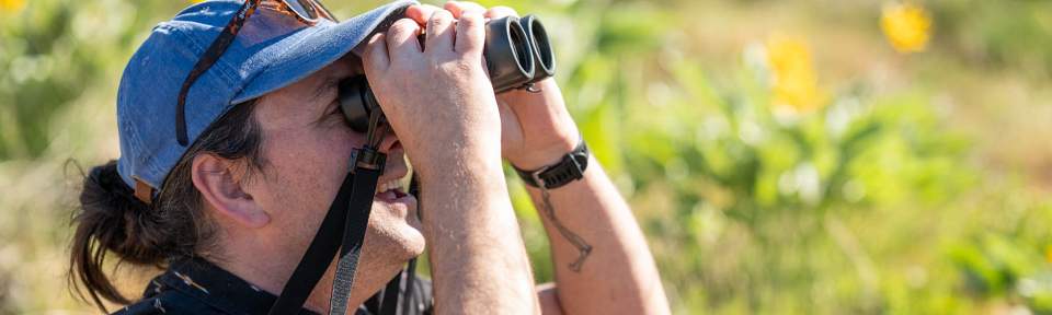 JJ Horns, bird watching