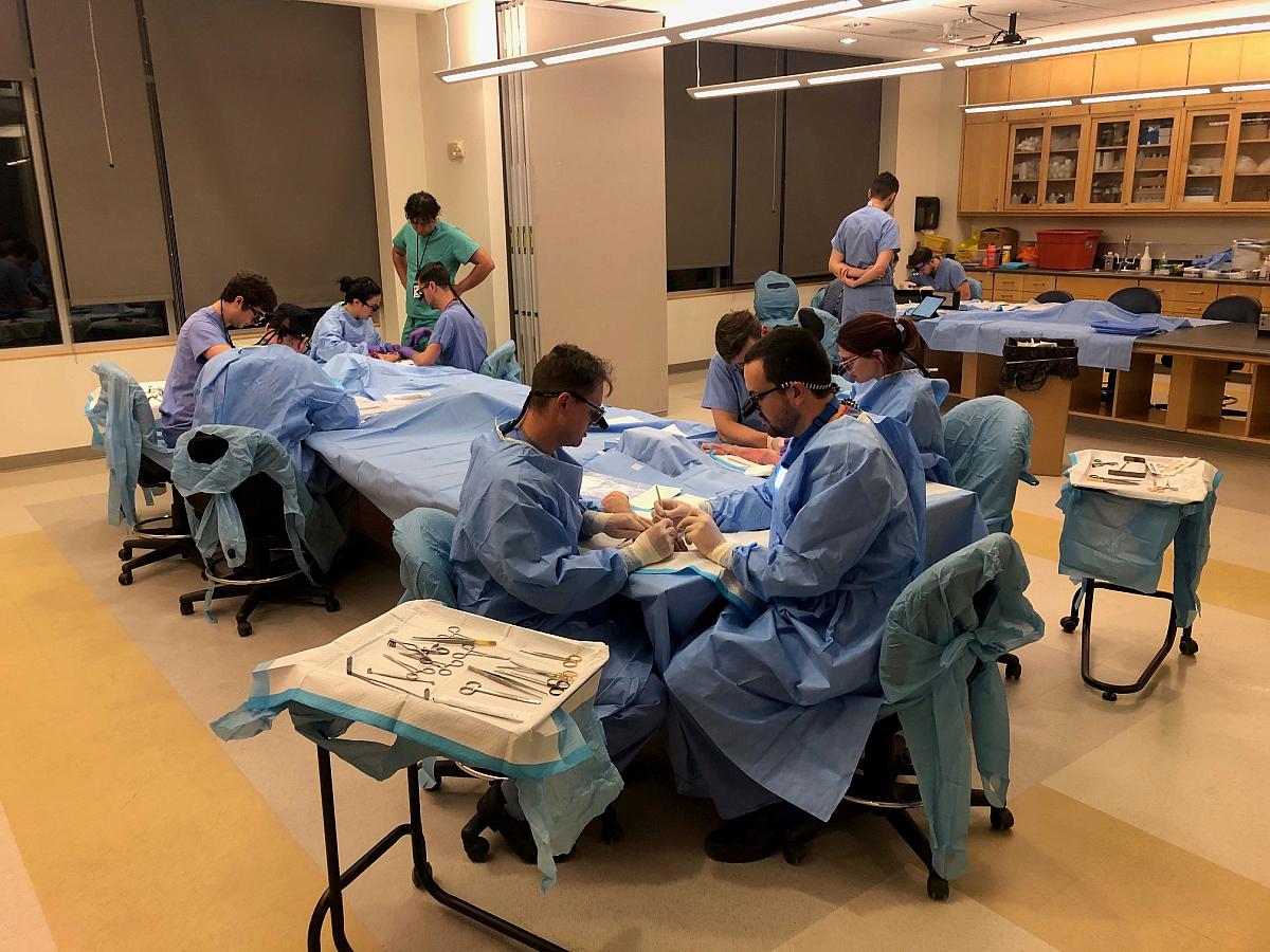 Surgeons in the training lab